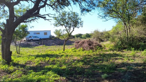 Terreno - Image 12