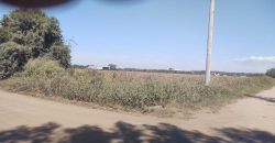 Terreno en Colonia Caroya