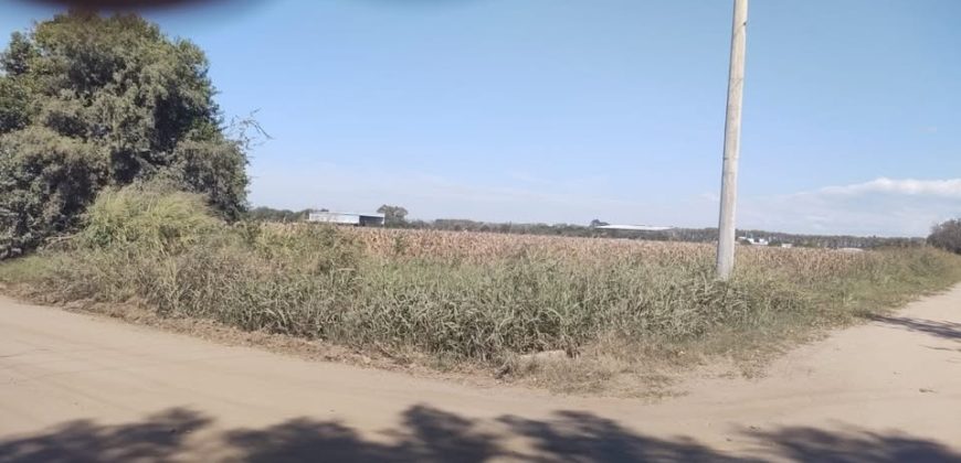 Terreno en Colonia Caroya