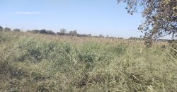 Terreno en Colonia Caroya