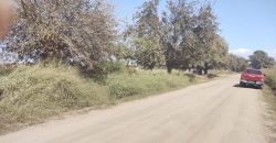 Terreno en Colonia Caroya