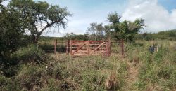 Terreno en Los Chañares