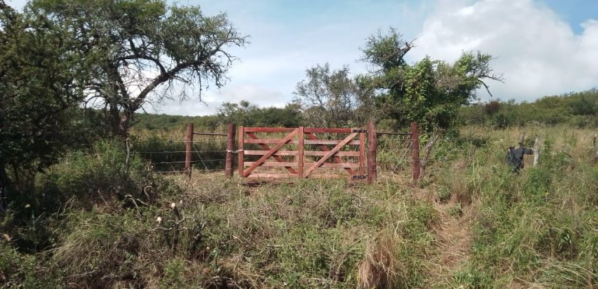 Terreno en Los Chañares